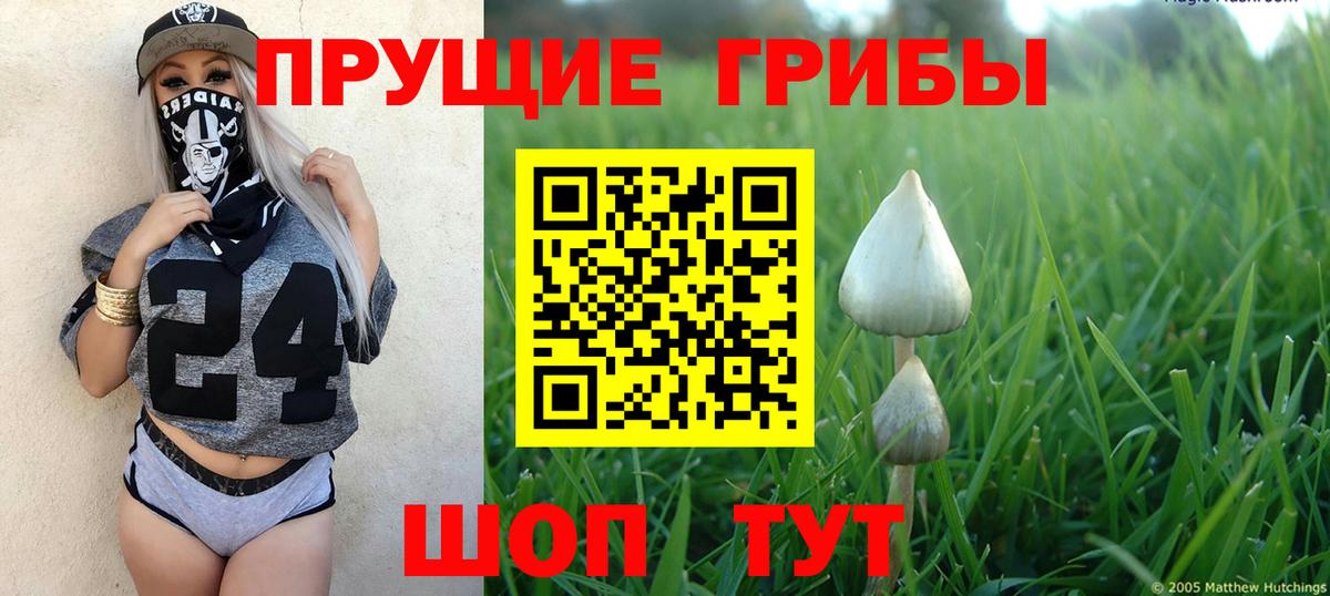 Псилоцибиновые грибы Cubensis  Вход с VPN  Новосибирск 