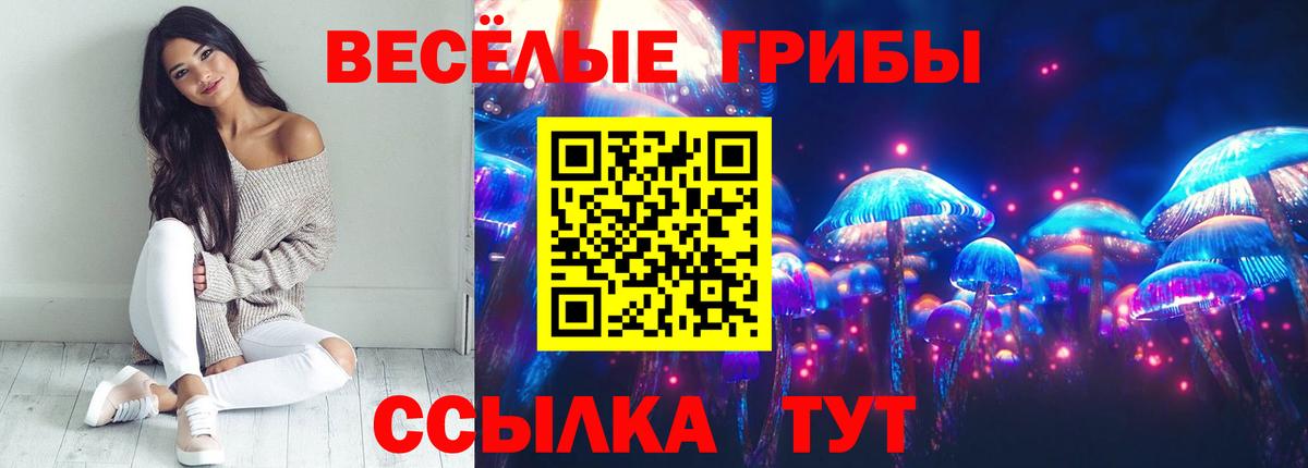 Галлюциногенные грибы MAGIC MUSHROOMS Новосибирск